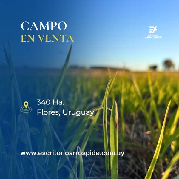 340  hectáreas. Agrícola Ganadero en Flores Uruguay
